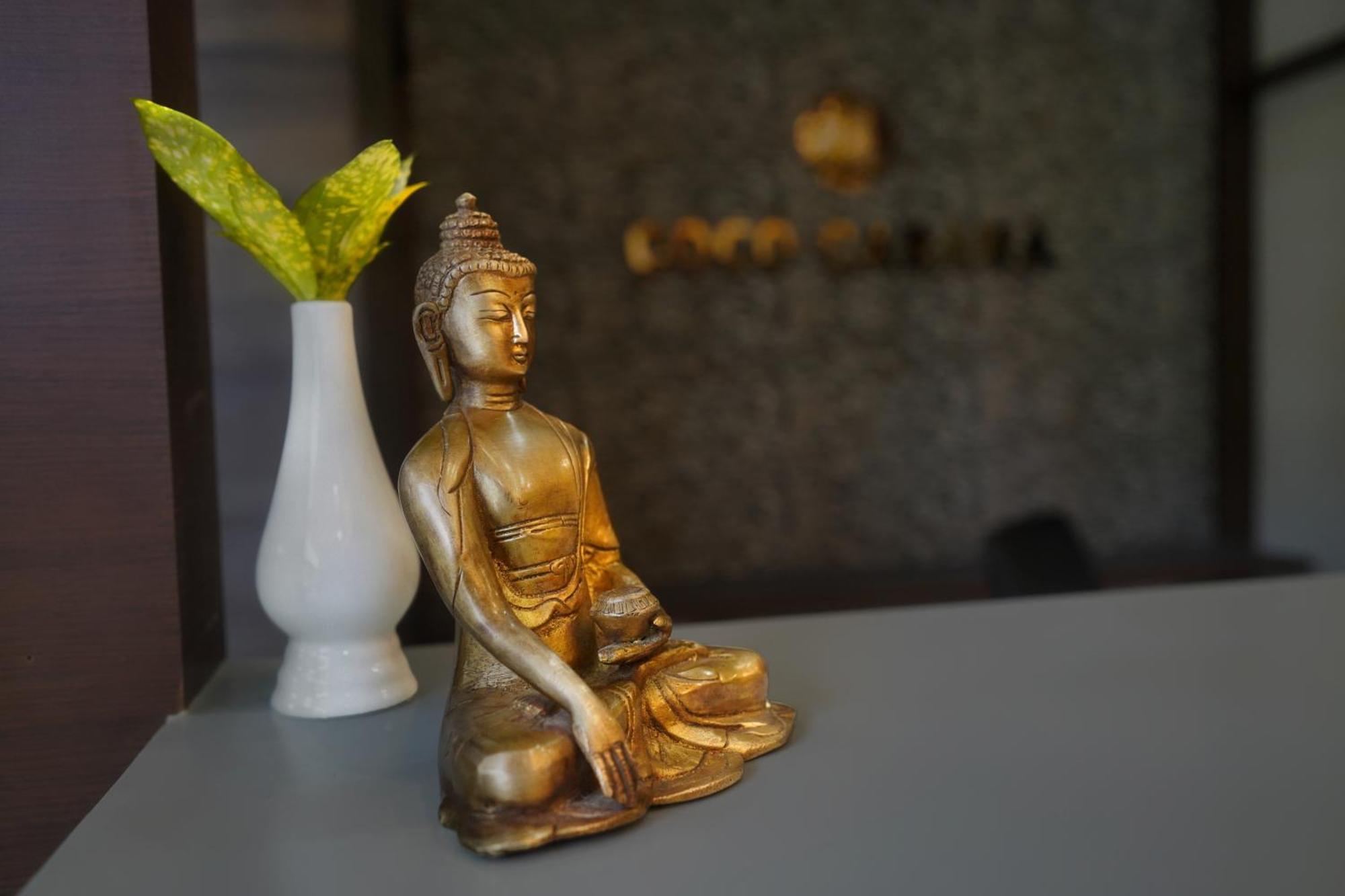 Coco Cabana Varanasi Eksteriør bilde